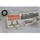 Yamaha Clutch Cam Housing Seal for RD60/125/200