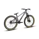 2025 Polygon Trid - Dirt Jump Mountain Bike